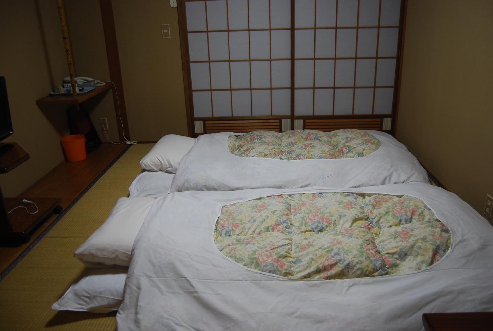 Hakuba Hotel Ougiya Cameră foto